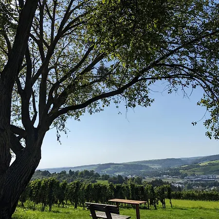 Nikolaushof Apartment