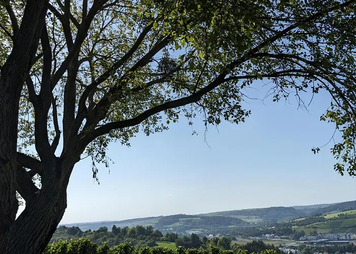 Nikolaushof Apartment